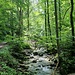 Angenehm kühles Ambiente am am Bach 