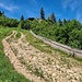 Entlang der Piste geht es hinauf 