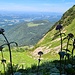 Blick ins Flachland 