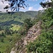 Ausblick ins Umland. Es wird luftiger.