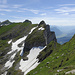 Glattchamm, Nägeler