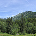 Leistchamm vom Arvenbüel aus gesehen