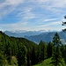 Blich aus dem Wald