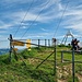 Gipfelbereich am Buochserhorn