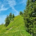 Der Hikr-Gipfelpunkt Bleikigrat 1594m, den wir mitnahmen, liegt nahe am blauweiss markierten Wanderweg