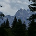 Wächst auch bald zu: Blickfenster in' s Karwendel