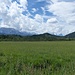 Der Wetterstein ist weit weg - Ötzwald und Grubreut sind hier die Lokalmatadore 