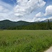 Groß und klein im Estergebirge