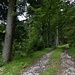 Ein wirklich schöner, old fashioned Vintage - Gloaßenweg, der harmonisch mit der Landschaft verschmilzt.