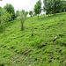 Pendici del Monte Penzo.