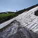 Hier war der Weg zu Ende (ca. 1975 m)
