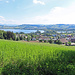 Aussicht vom Chäseriwald zum Sempachersee.