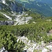 Noch liegt der Latschengürtel vor mir. Im oberen linken Bildabschnitt müsste irgendwo ein Pfad zum Normalanstieg auf den Angerstein vorhanden sein. Ich konnte ihn nicht finden, vermutlich führt er über das schmale Schneefeld im Vordergrund.