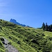 Nach einem Abzweig auf einen falschen Waldweg musste ich über die Almwiese aufsteigen. Hier treffe ich auf den Weg zur Stuhlalm, die neben den zwei sichtbaren Dächern liegt, heute aber Ruhetag hat.