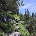 Wieder in der Traverse unter dem Angerstein auf dem Weg zur Stuhlalm.