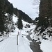 zurück am jungen Hornbach