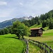 das weisse Horn