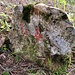 alte Markierung