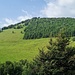 <b>La pendenza ridotta e il fondo asfaltato, tranne che in un tratto intermedio, rendono questa passeggiata veramente rilassante. È un luogo paesaggisticamente molto suggestivo, Particolarmente attraente è la Cima della Duaria (1447 m), che meriterebbe una visita invernale con le ciaspole o con gli sci.</b>
