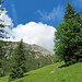 Kurz vor der Alp Schy.