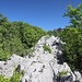 über die Karstrippe zum Gipfel