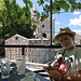 Pause in Plomin