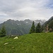 Bei 1920 m komme ich aus dem Wald ins Freie. Weitere Berge zeigen sich.