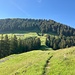 Aufstieg zur Stockbergalp mit Blick auf die Waldschneise, über die man vom Stockberg Ostgipfel absteigen kann. 