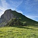 Auf der "Wis" unter dem Hohen Kasten. Ich folgte der Wegspur zum Wanderweg statt der Direttissima.