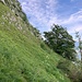 Wenn man nach dem Ilex den Weg gefunden hat, gelangt man auf diese Wiese mit Steinmann.