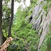 Nächste Rätselstelle: Bei einem Steinmann unter einer Baumgruppe führt eine recht deutliche Spur links die Wand entlang. Diese muss bei einem verblassten Pfeil erklettert werden (II). [https://www.hikr.org/gallery/photo2911031.html?post_id=143129 2019] gabs da noch einen Pfeil....