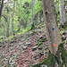 Nach wenigen Metern erkennt man zum Glück eine deutlichere Spur und auch die erhofften blauen und orangen Punkte.