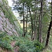 Nach der etwas anspurchsvolleren Kraxelei gelangt man in ein Waldstück und folgt dem Pfad an der Wand entlang zur letzten richtigen Kletterstelle.
