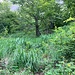 Stabiles Gras dient als Aufstiegshilfe