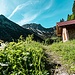 Erzberg Mittelhof 1.402m im Hintergrund der Schänzelekopf