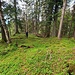 Gipfel Ochsenberg