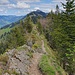 Rückblick Gratweg
