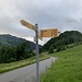 Wegweiser bei Egg.