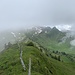 Von hier aus über den Grat in Richtung Westen.