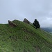 In den schwarzen Köpfen.