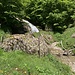 Flibach vor Unterchäseren.