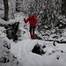 auf dem Schüpbach-Wägli ...