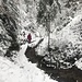 ein idyllisches Tal im Verlauf des Schüpbach-Wäglis ...