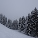 trüb, doch schön winterlich ...