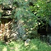 Velenice (Wellnitz), ortstypische Felsenkeller