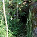 Velenický hrad, Burgkeller<br /><a href="https://www.hikr.org/gallery/photo1610304.html?post_id=87835">Vergleich 2014</a>