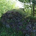 Velenický hrad, Mauerreste