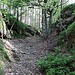 Alte Felsengasse