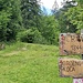Den rot-weissen Punkten folgend ...