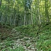 ... oder einem unscheinbarem Weg. <br />Die Markierungen sind mehrheitlich gut zu finden, nur hie und da musste ich den "Weg" suchen